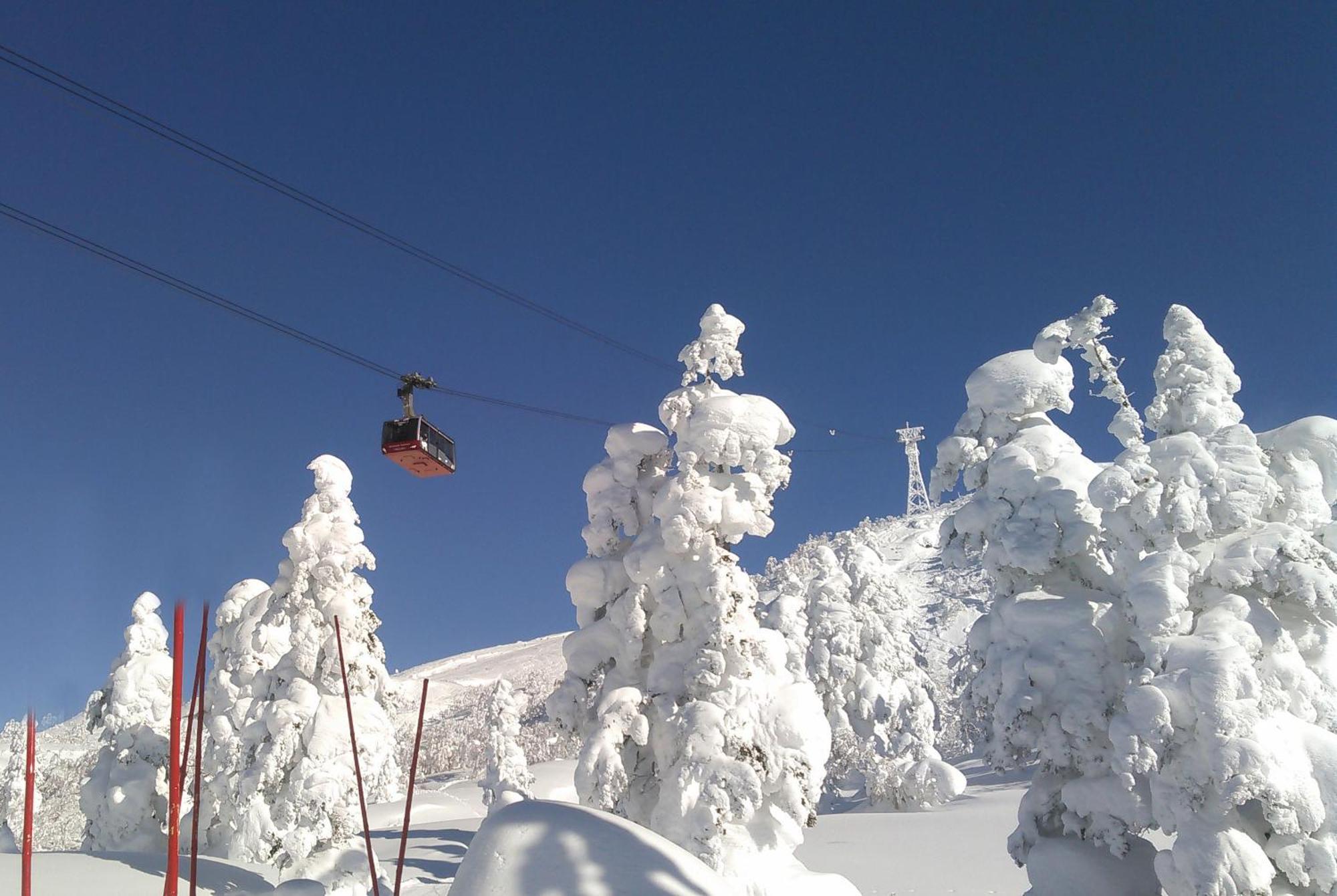 Higashikawa Asahidake Onsen Hotel Bear Monte Екстериор снимка
